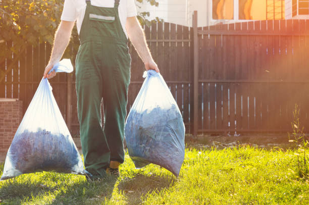 Best Same-Day Junk Removal  in Toluca, IL